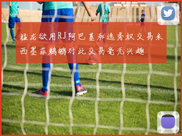猛龙欲用RJ阿巴基和选秀权交易米西墨菲鹈鹕对此交易毫无兴趣